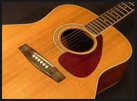 Acoustic Guitar